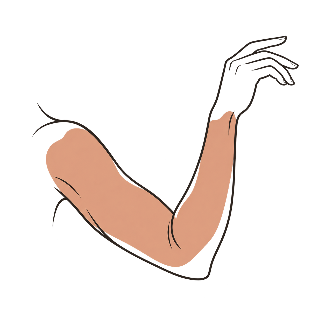 Ilustración del área de tratamiento Ilustración del área de tratamiento