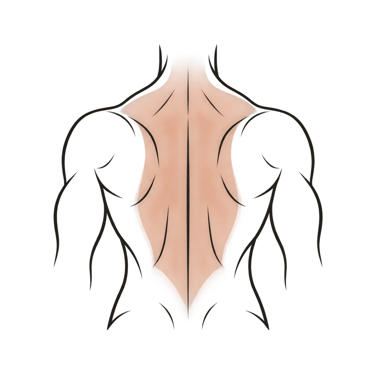 Ilustración del área de tratamiento