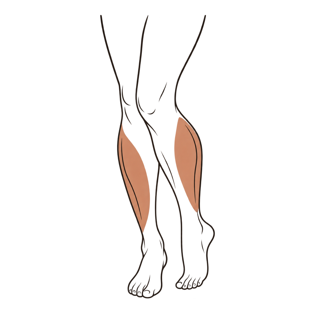 Ilustración del área de tratamiento Ilustración del área de tratamiento